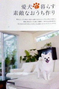 愛犬パンフ.jpgのサムネール画像