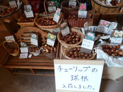 P1030030.JPG