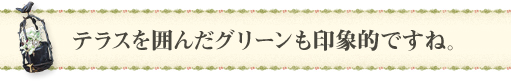 テラスを囲んだグリーンも印象的ですね。